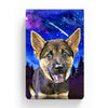 Pet Canvas - Twinkling stars in forest 2