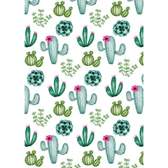 Custom Sweatshirt - Amazing Cactus