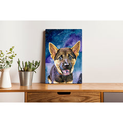 Pet Canvas - Twinkling stars in forest