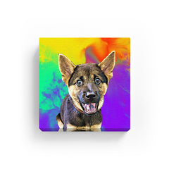 Pet Canvas - Color Mixing
