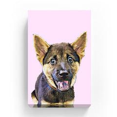 Pet Canvas - Light Pink