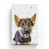 Pet Canvas - Terrazzo Pattern