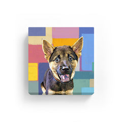 Pet Canvas - Absract Squares Color Painting