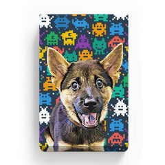Pet Canvas - Space Invaders