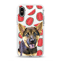 iPhone Ultra-Aseismic Case - Watermelon 2