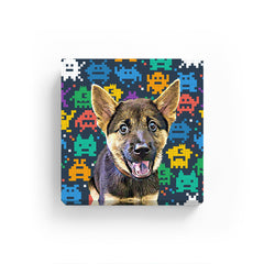 Pet Canvas - Space Invaders